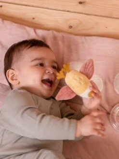 Tapis D'Éveil Oiseau - LITTLE DUTCH Rose Pâle - Little Dutch 11 Tapis D'Éveil Oiseau - LITTLE DUTCH Rose Pâle - Little Dutch -Produits Pour Bébé tapis deveil oiseau little dutch 4